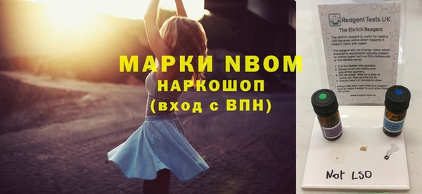 прущие грибы Новокубанск
