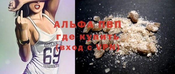 прущие грибы Новодвинск